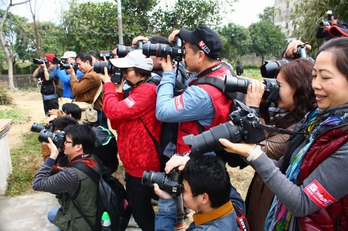 第二届南国花香节 开平碉楼采风圆满结束