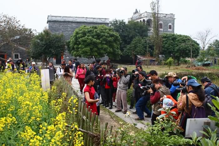 第二届南国花香节 开平碉楼采风圆满结束