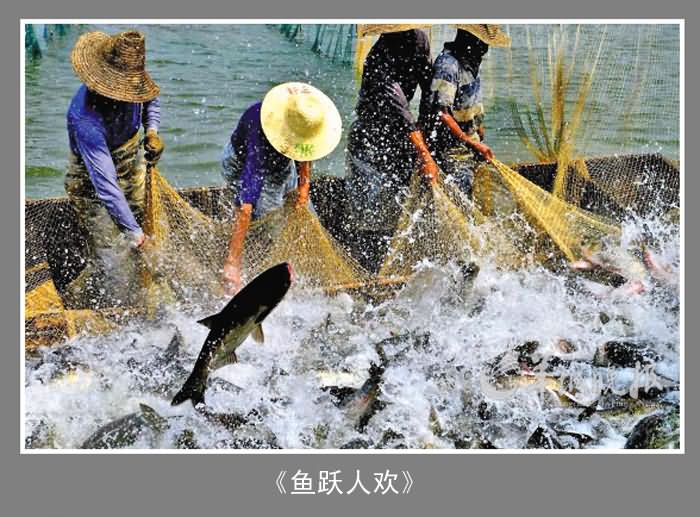 IPA摄影名家公益讲座 蔡惠中《新闻摄影背后的故事》