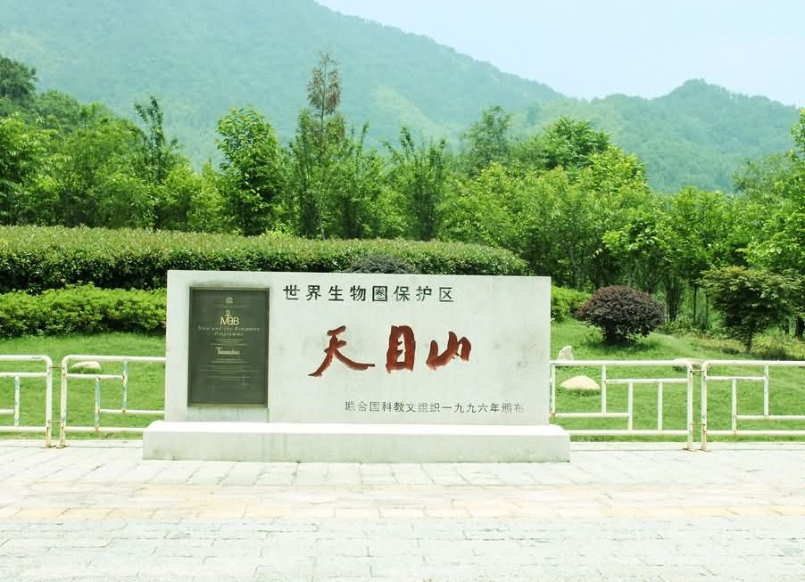 65-140H4133513-50.jpg