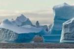 <b>（海钻石邮轮）华人包船南极王企鹅群摄影巡游23天团</b>