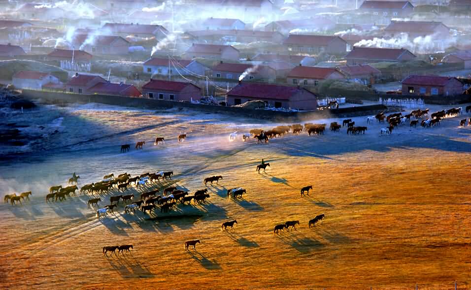 美国国际摄影学会（中国）2013国际摄影艺术展优秀作品揭晓