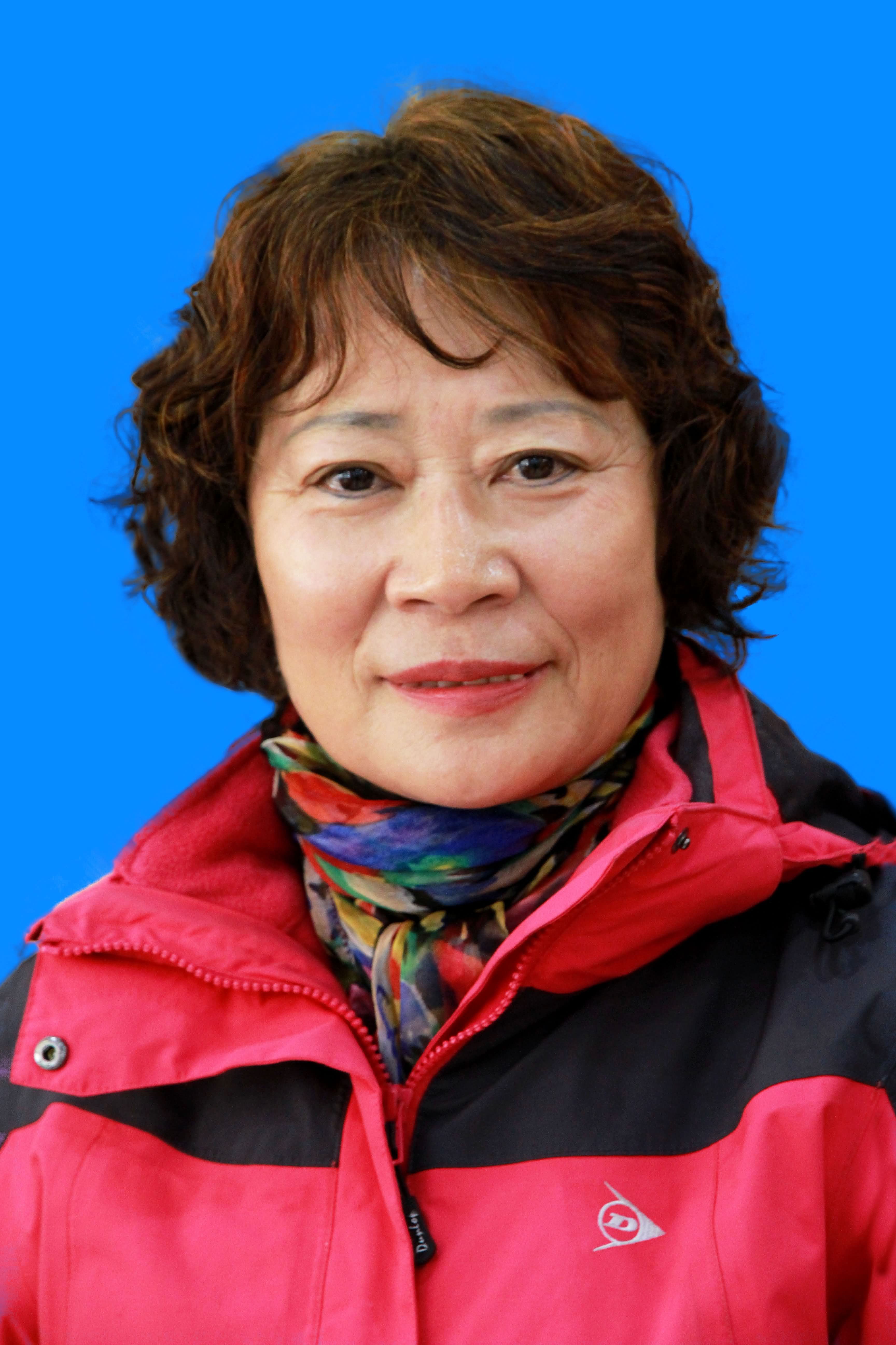 金宝菊