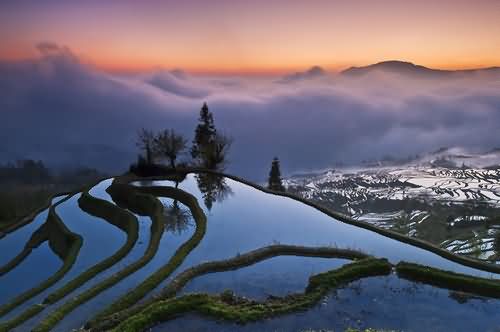 首届古越龙山绍兴酒“生活味道”全国摄影大赛征稿启事