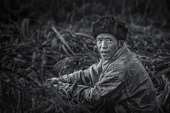热烈祝贺陈珍先，韦焕云女士荣获法国第十届国际摄影联赛大奖 编号 ：126 2015法国第十届国际摄影联赛结果揭晓 