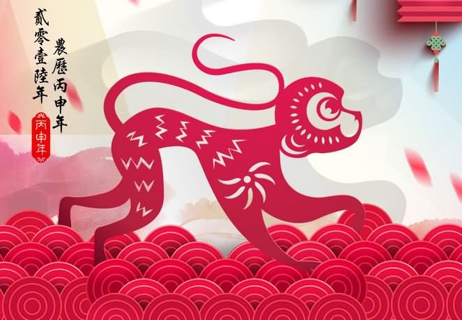 国际摄影协会（IPA）携手各地分支机构向大家拜年！