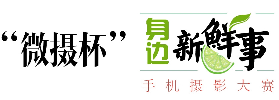 “微摄杯”身边新鲜事手机摄影大赛