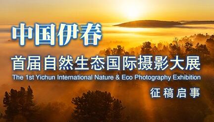 中国伊春首届自然生态国际摄影大展摄影作品征集