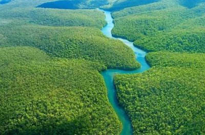 探索神秘 亚马逊河热带雨林摄影巡游之旅
