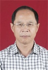叶泓