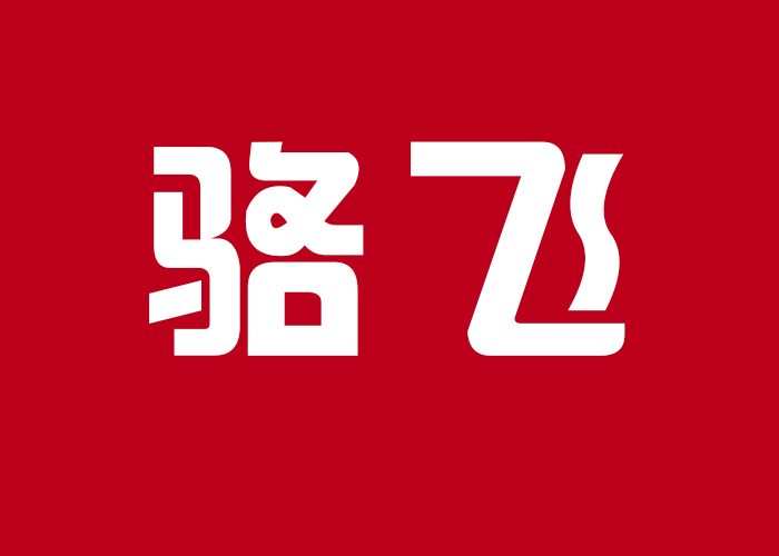 国际摄影颁奖盛典个人现场展示-骆飞