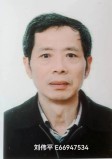 刘伟平