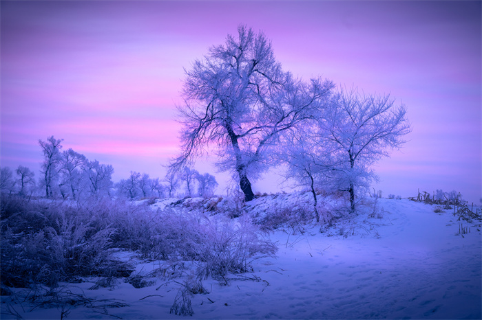 【确定出团】雪域风情--中俄边境影像探秘（出团时间：2025年1月8日—15日）
