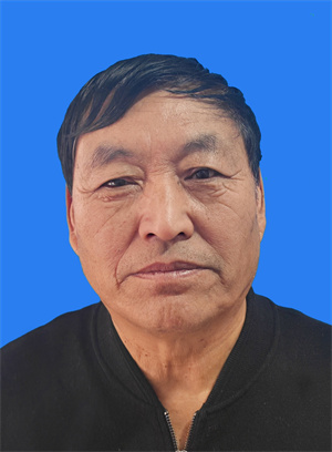 崔振芳