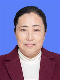 何晓敏.