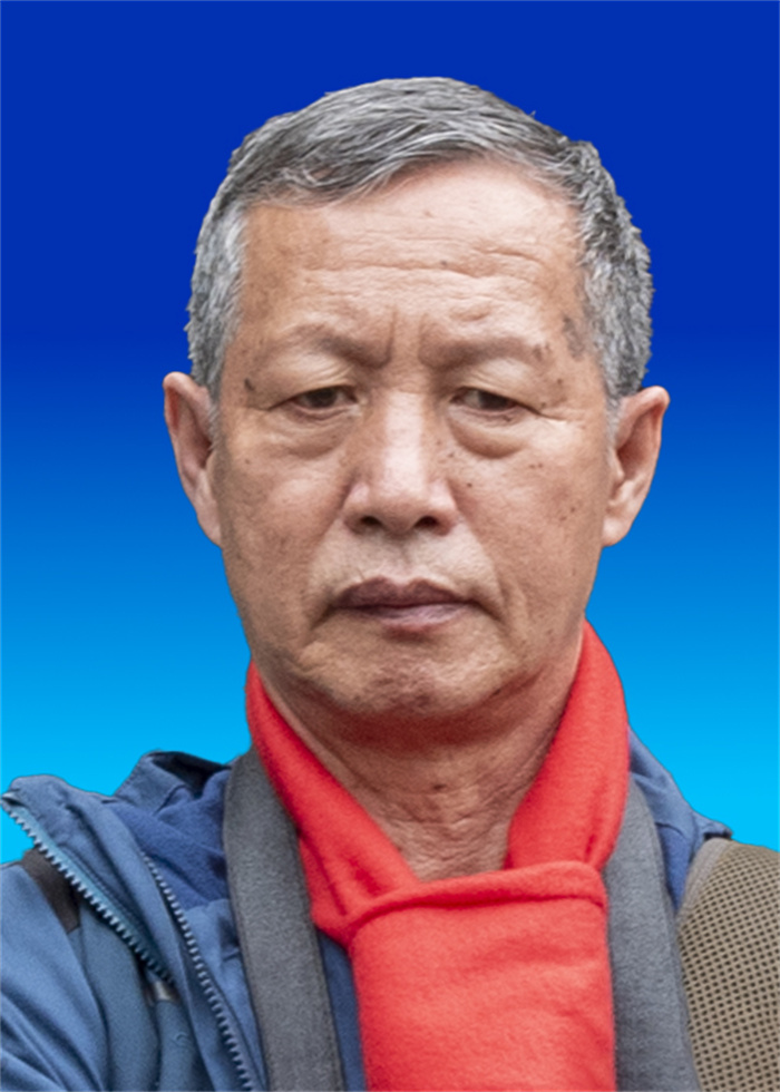 战嘉敏