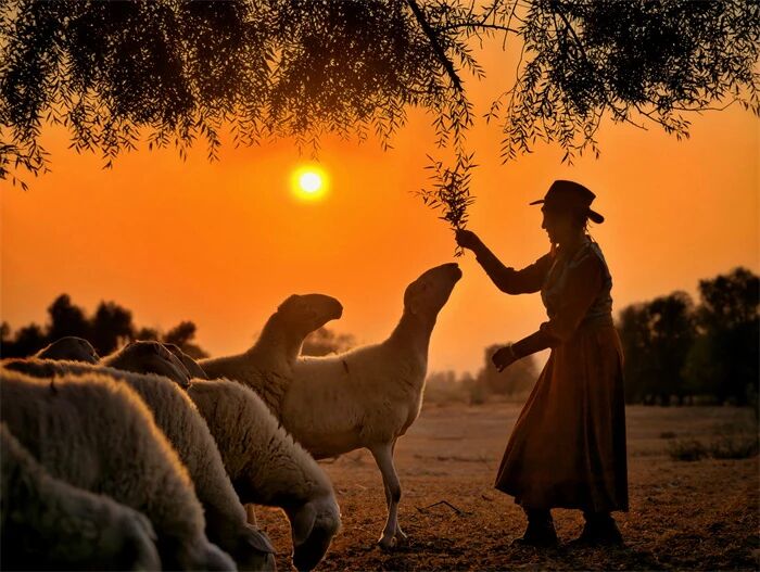 本溪红叶与奈曼旗沙漠采风团优秀作品揭晓