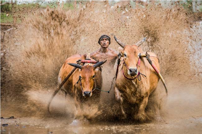 2025第四届维多利亚国际摄影大赛征稿启事