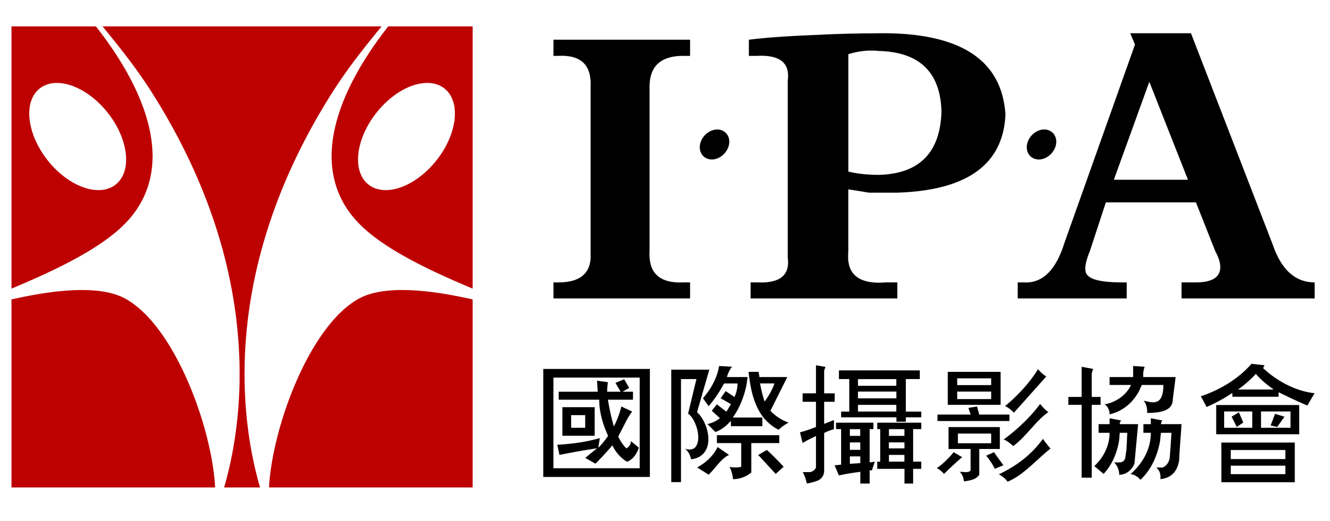 国际摄影协会 2025 年度总结评选工作的通知