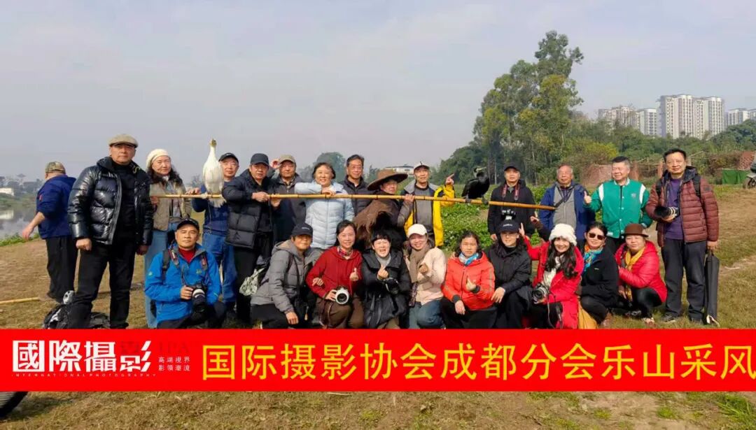 刘鸿主席授技苏稽镇 镜捕鸬鹚非遗魂