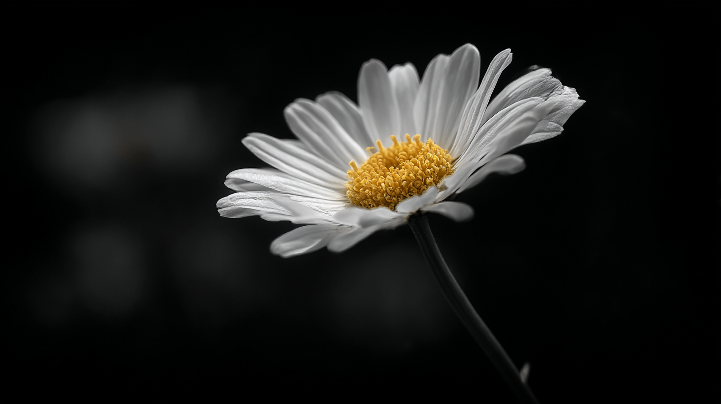 (征稿中)  编号: 1094 2026年匈牙利EURO CIRCUIT国际摄影联赛(熊天翼担任评委，387项大奖) 截稿日期：2026年5月1日 