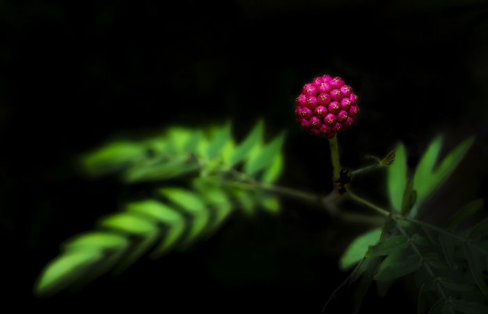 编号 ：320 2018年MontPhoto西班牙国际自然摄影大赛（高额奖金）  截稿日期：2018年4月30日