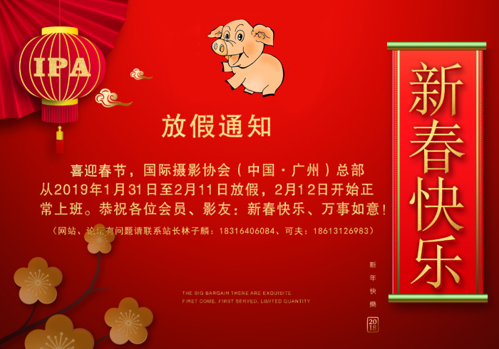 2019年国际摄影协会总部春节放假通知