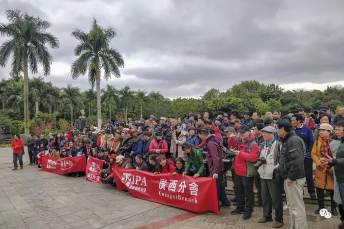 祝贺IPA广西分会2019年大型春季人像摄影活动圆满举行