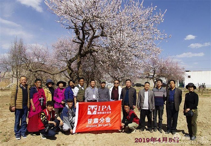 国际摄影协会甘肃分会部分会员赴东乡县唐汪镇杏花节活动记实