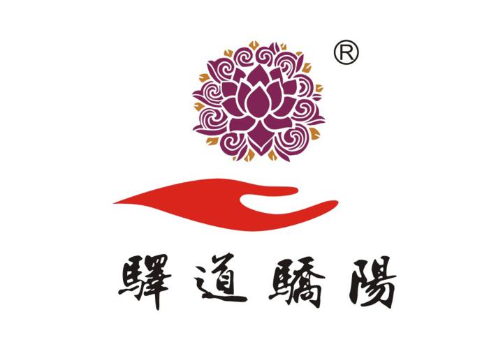 国际摄影年度（2019）盛会赞助特别鸣谢： 李佳泉（云南驿道骄阳商贸有限公司）