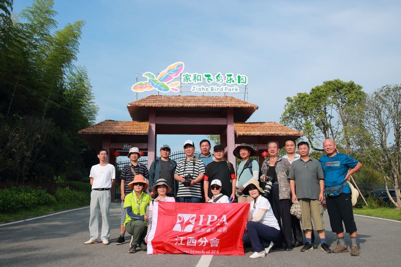IPA江西分会摄影师圆满完成 抚州家和飞鸟乐园采风创作活动