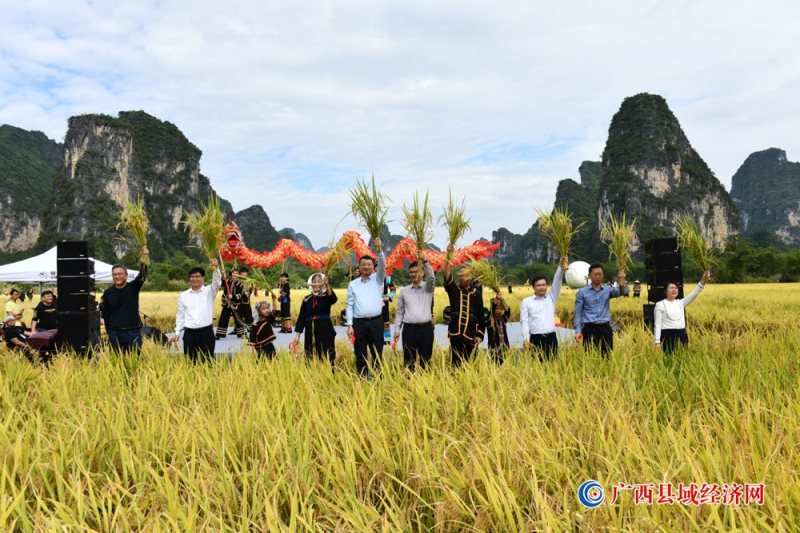 （广州）国际摄影协会摄影师走进大新明仕丰收节