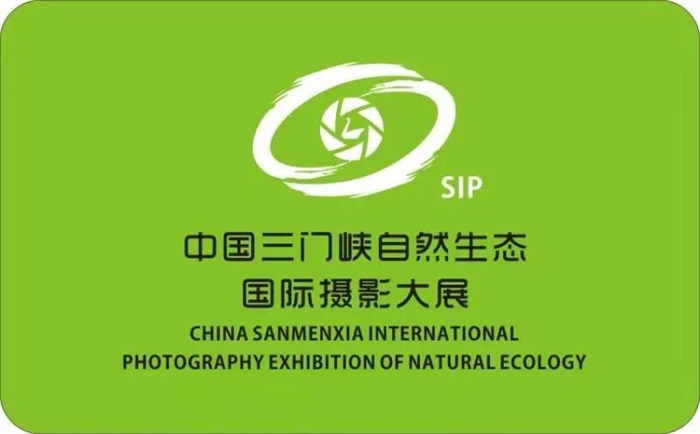 中国三门峡自然生态国际摄影大展——“IPA鸟类摄影十杰”主题展，申报截止12月28日