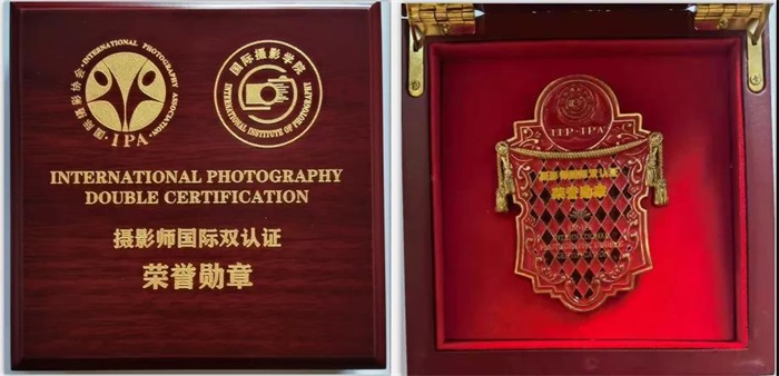 中国三门峡自然生态国际摄影大展——“IPA鸟类摄影十杰”主题展，申报截止12月3日