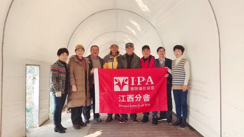 IPA江西分会摄影师 聚焦五星白鹤保护小区摄影创作圆满结束
