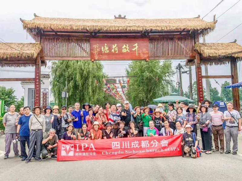 IPA成都分会组织会员进行“创意荷花”专题创作活动圆满举行