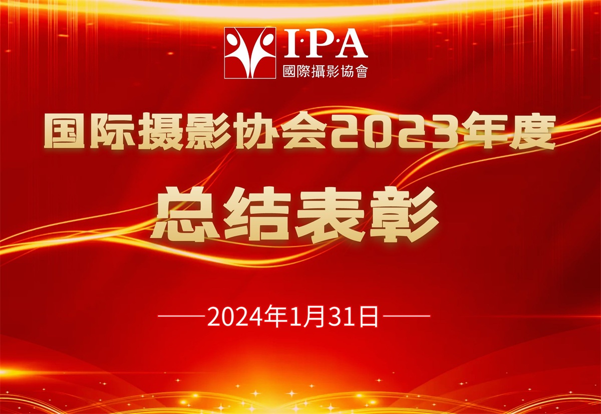 国际摄影协会举办网络总结暨表彰大会