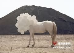 Andrea Galvani：观念摄影的清新风