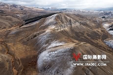 美摄影师追踪拍摄到叉角羚大迁徙