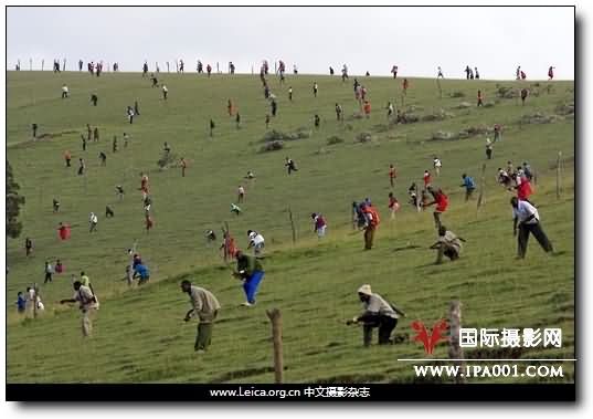 点击在新窗口中浏览此图片