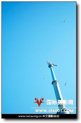 『昨日重现？』 Epson R-D1x登场