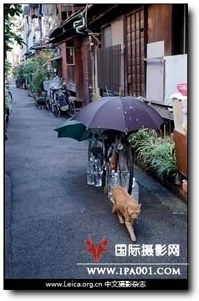 『昨日重现？』 Epson R-D1x登场
