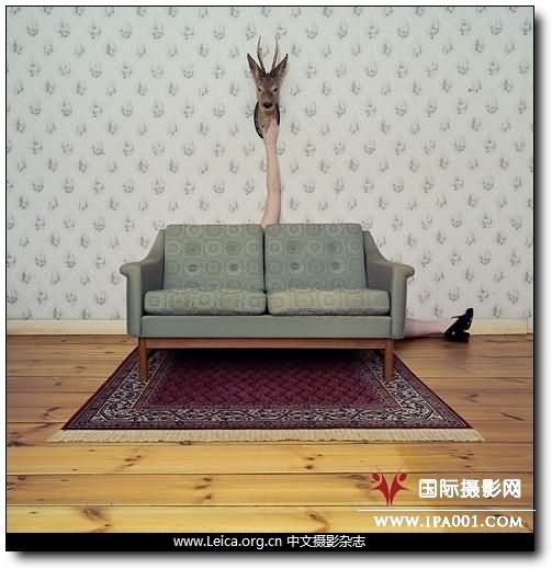 『摄影奖项』法国PX3 2009摄影奖获奖作品