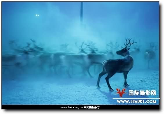 『摄影奖项』法国PX3 2009摄影奖获奖作品