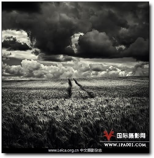 『摄影奖项』法国PX3 2009摄影奖获奖作品
