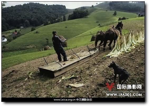 『摄影奖项』Getty Grants for Good：摄影改变世界