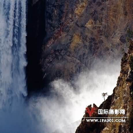 阳光穿过黄石瀑布形成的水雾，为一颗孤独的树构成了令人晕倒的背景