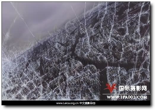 『摄影展』Paris Photo 2009，巴黎摄影展：阿拉伯&伊朗摄影