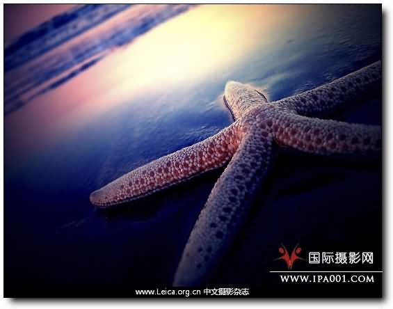 『摄影奖项』年度旅行摄影师奖 TPOY 2009 『摄影奖项』年度旅行摄影师奖 TPOY 2009