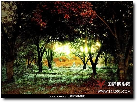 『摄影奖项』年度旅行摄影师奖 TPOY 2009 『摄影奖项』年度旅行摄影师奖 TPOY 2009